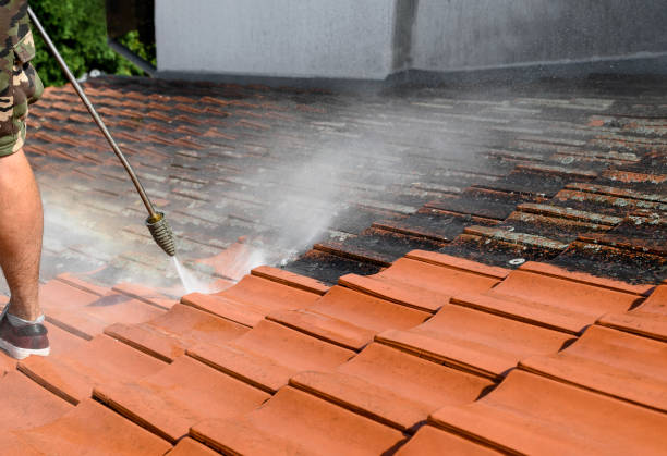 Best Local Pressure Washing Services  in Wtmore Village, HI